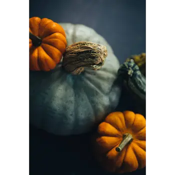 fresh pumpkin (5)-3663067-61629.webp